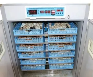Imported 2112 Eggs Incubator With Automatic Turning