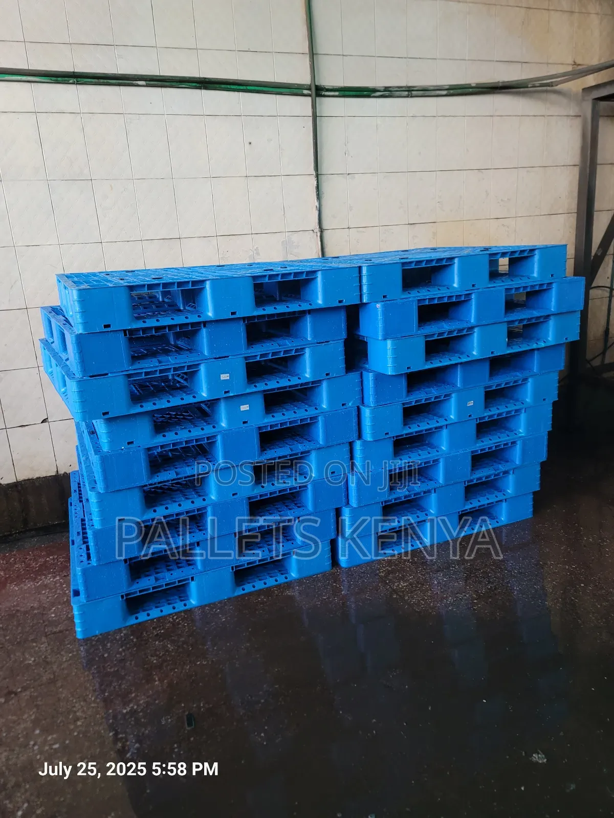 Blue Plastic Pallets