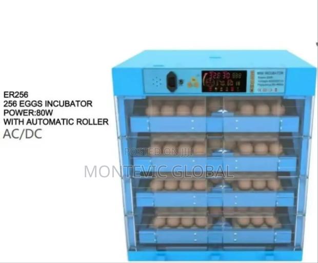 Imported 256eggs Incubator With Automatic Turning - main view