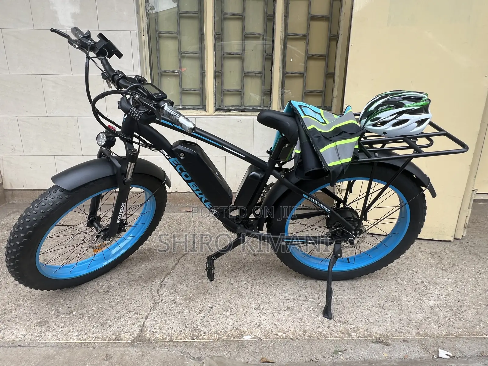 Electric Fat Tyre Eco Bike