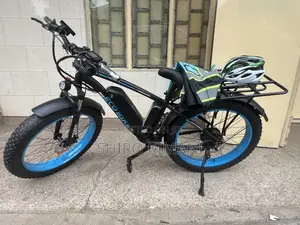 Electric Fat Tyre Eco Bike
