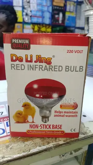220w Infrared Bulb
