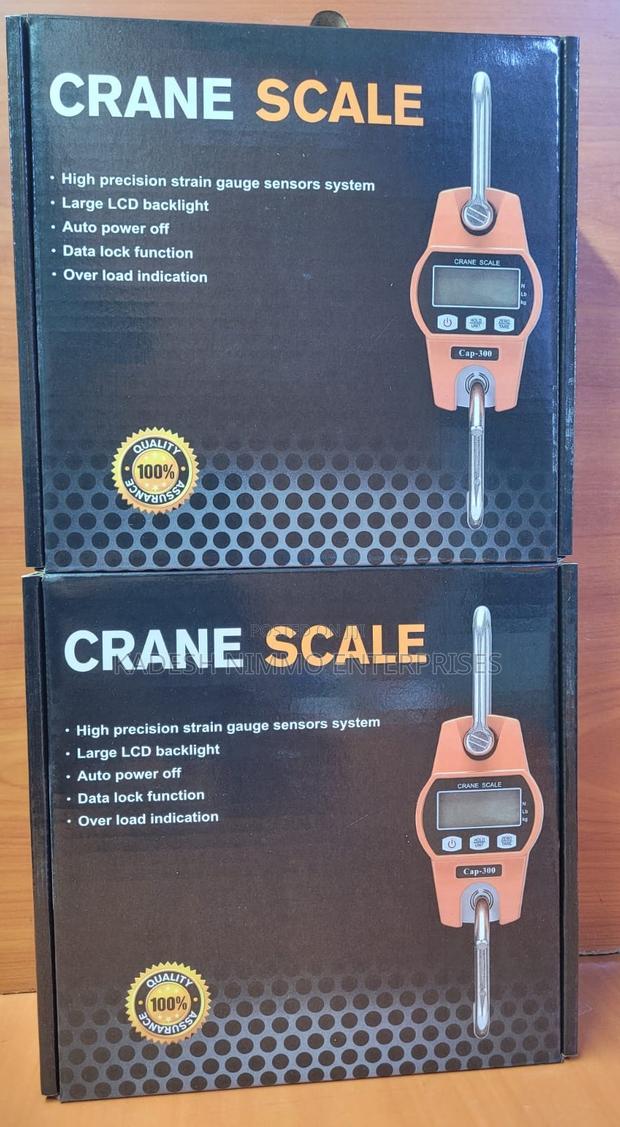 300kg Digital Crane Scale - main view