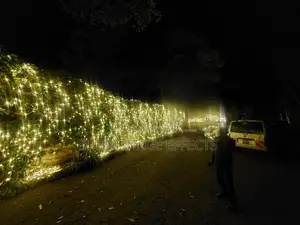 Elegant Event Lighting for All Occasions
