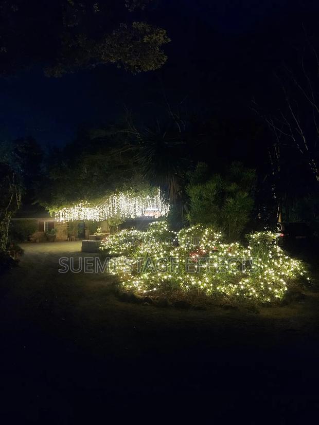 Party-Ready Event Lighting for Hire – Bring the Vibes! - thumbnail 5