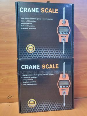 Advanced 300kg Crane Weighing Scale