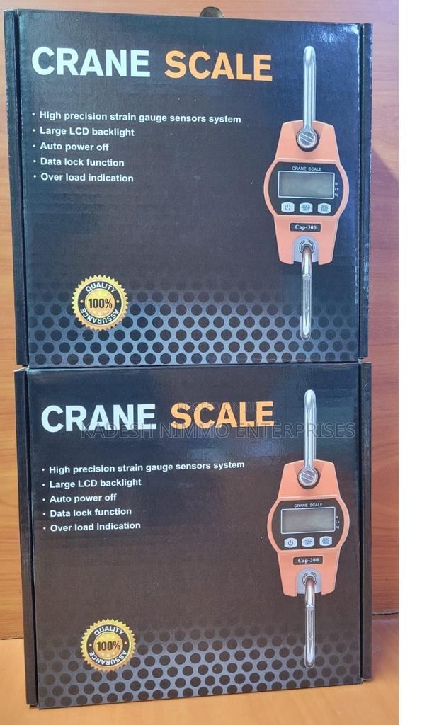 300kg Hanging Weighing Scale - main view