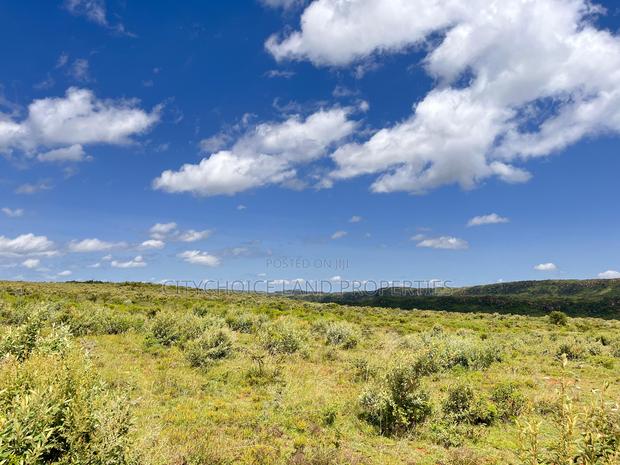 Affordable Plots for Sale in Nachu – Only KSH  - thumbnail 3