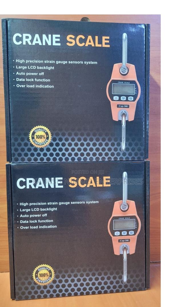 300kg Crane Scale - main view