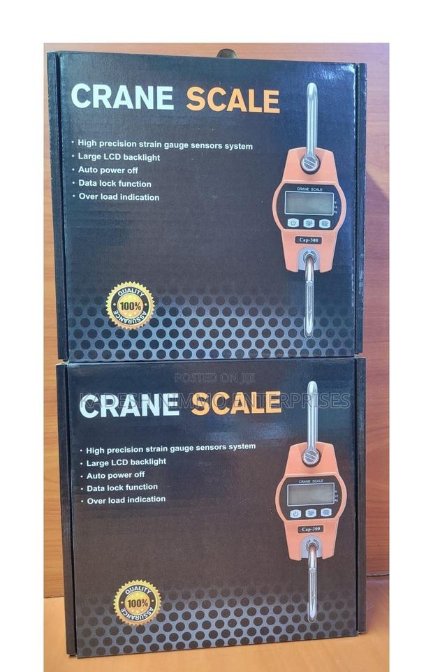 Digital 300kg Crane Hook Scale - main view