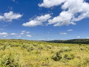 Land in Nachu Near Kikuyu SGR From as Low as