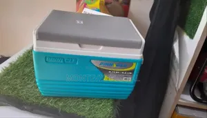 Pinnacle Cooler Box 4.5litres