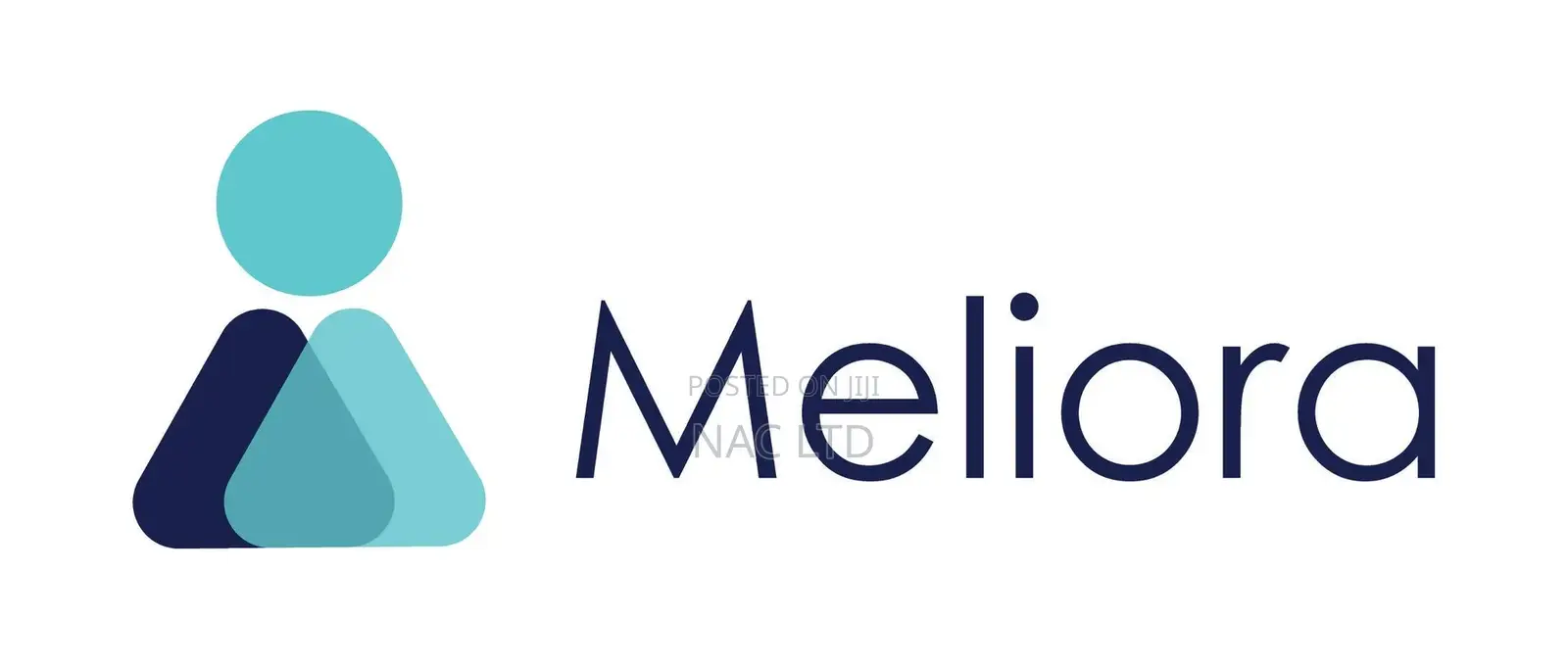 Corporate Identity Development