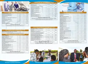 Publication Design