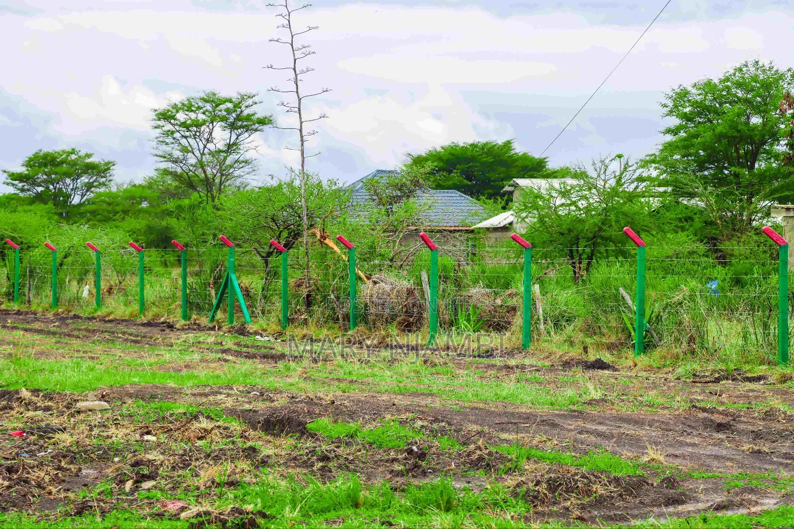 Plot for Sale in Jujafarm