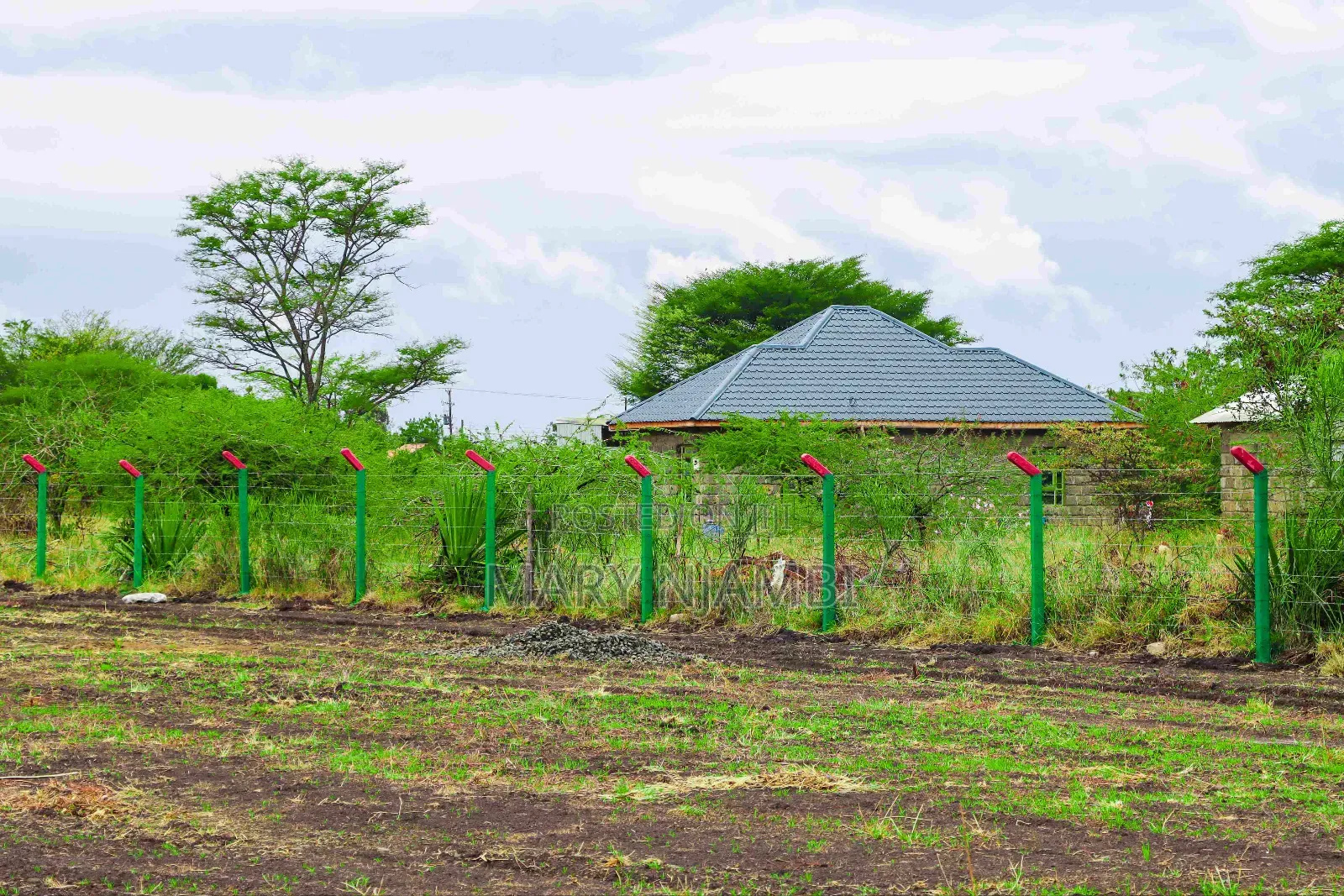 Plot for Sale in Jujafarm