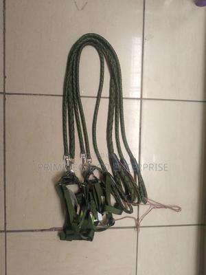 Dog Leash Available. - thumbnail 2