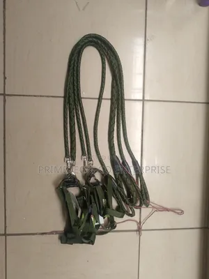 Dog Leash Available.
