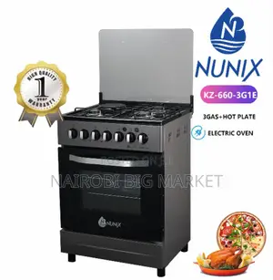 3gas+1electric Nunix Gas Cooker With Electric Oven