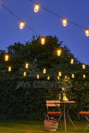 50m Outdoor Festoon Lights (50 Bulbs)