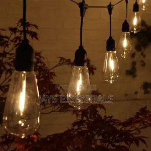 50m Outdoor Festoon Lights (50 Bulbs)