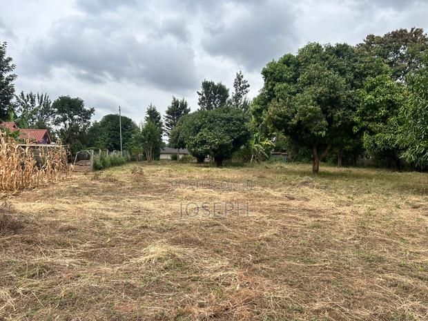 Sagana 1.1acre for Sale - thumbnail 5