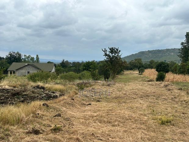 Sagana 1.1acre for Sale - thumbnail 6
