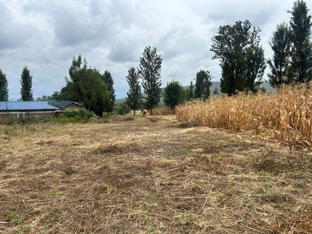 Sagana 1.1acre for Sale - thumbnail 7