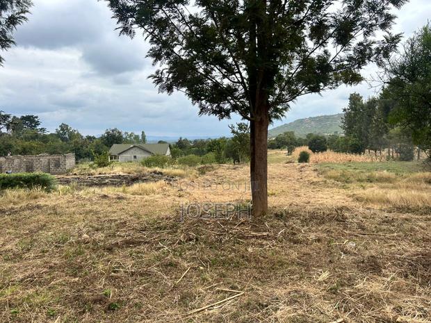 Sagana 1.1acre for Sale - thumbnail 8