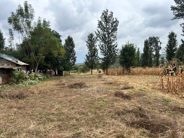 Sagana 1.1acre for Sale - thumbnail 9