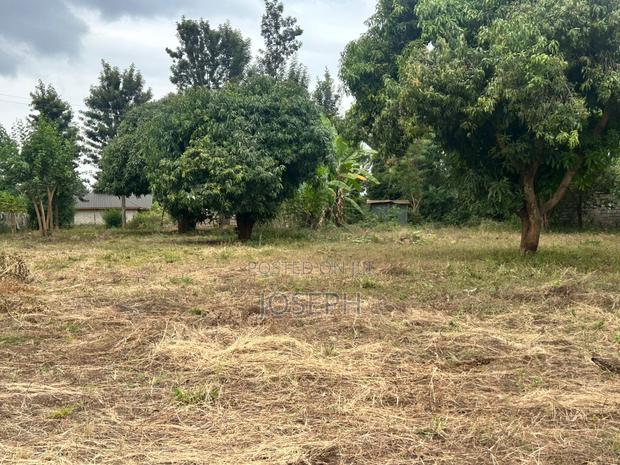 Sagana 1.1acre for Sale - thumbnail 10