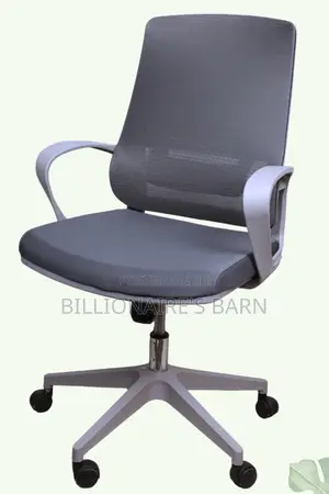 Office Chairs; Cool Ceo and Managers Office Chair