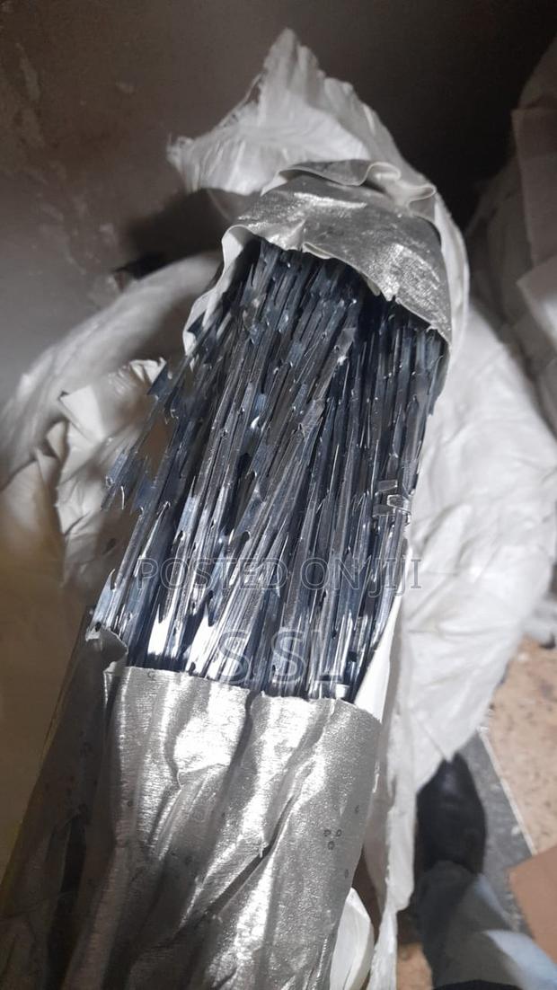 Silver Razor Wire - main view