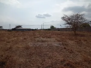 Prime Plot at Islamic University.