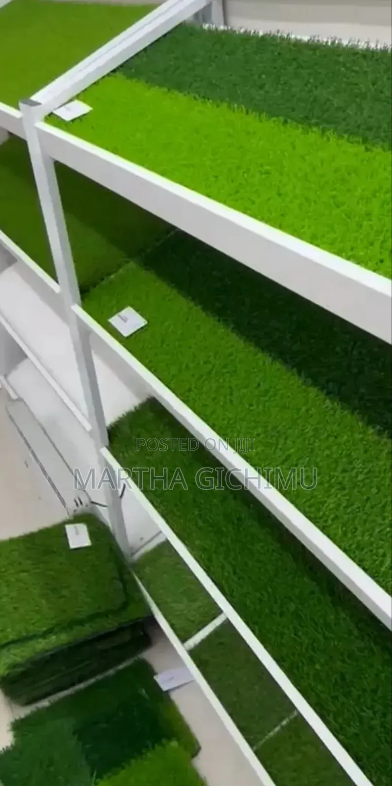Natural Grass