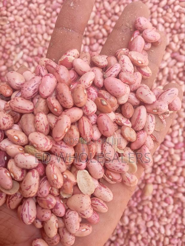 Rose Beans - thumbnail 3