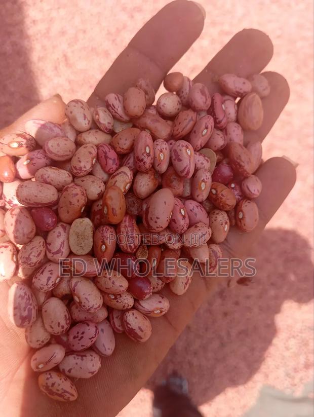 Rose Beans - thumbnail 4