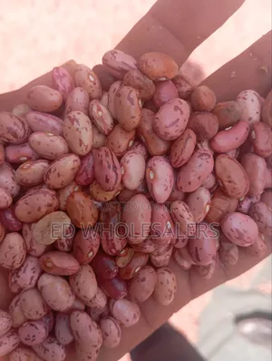 Rose Beans