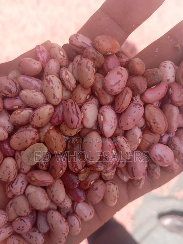 Rose Beans - thumbnail 5
