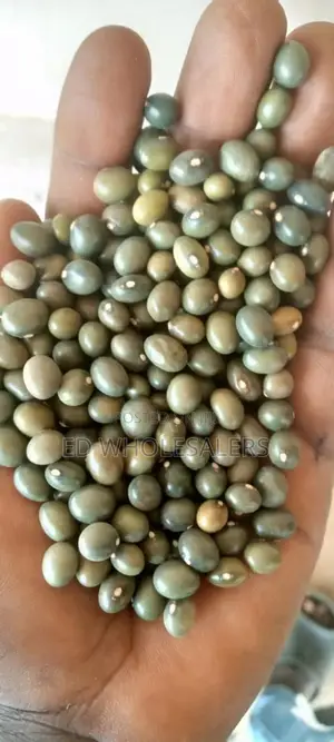 Army Green Beans