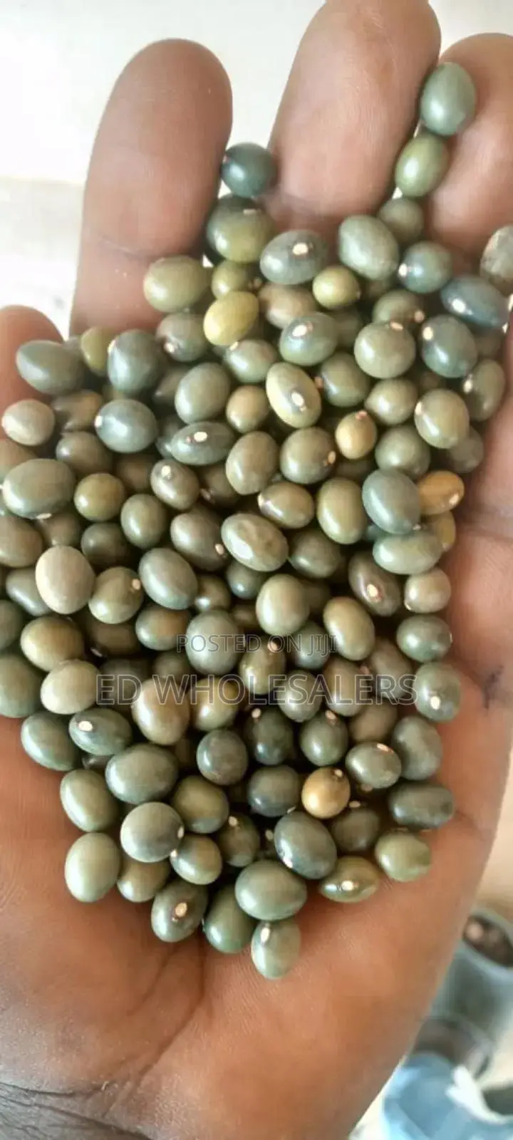 Army Green Beans