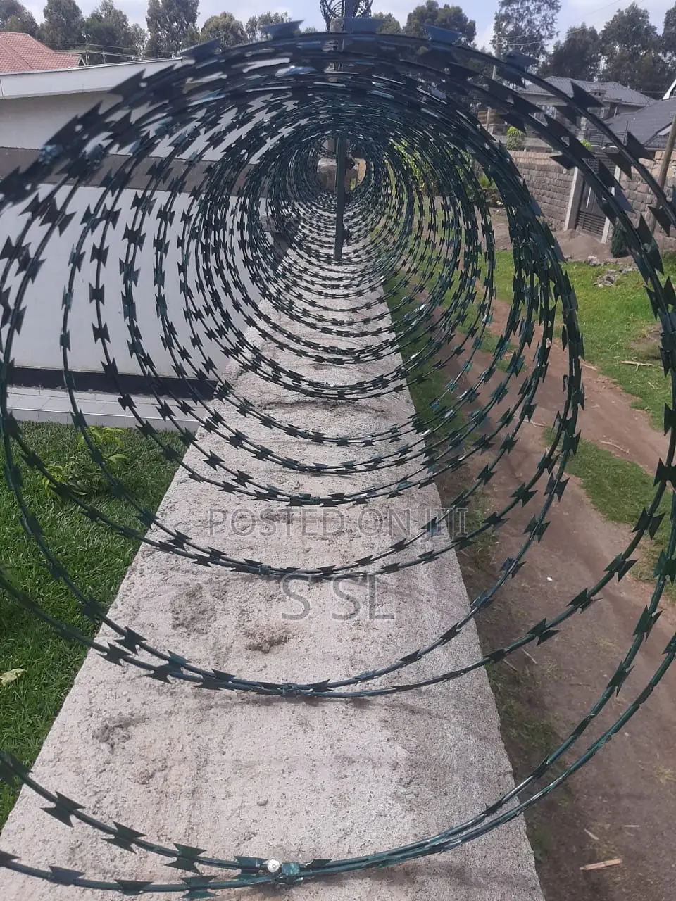 Green Razor Wire Available