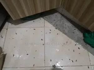 Cockroach and Bedbug Infection Control