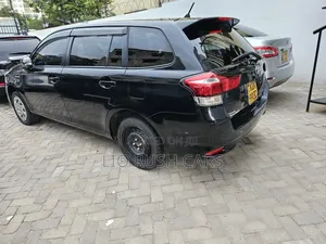 Toyota Corolla Fielder 2018 Black