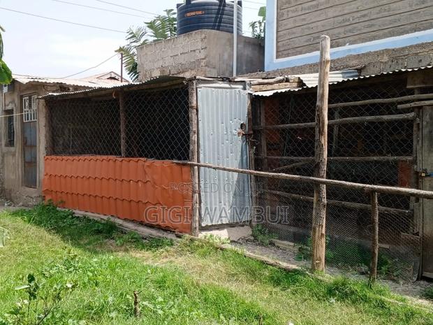 Poultry-Keeping Space for Rent- 400hens - thumbnail 7