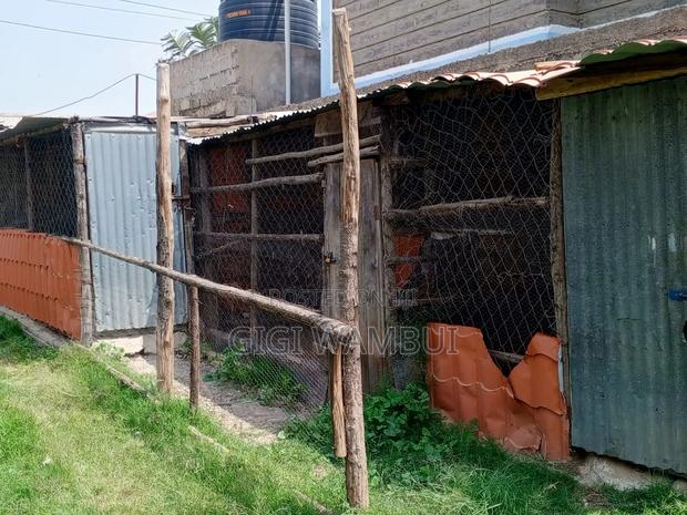 Poultry-Keeping Space for Rent- 400hens - thumbnail 8