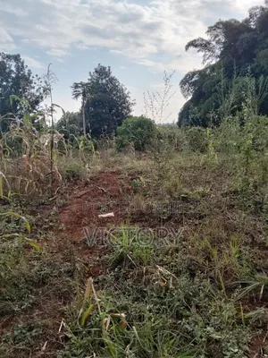 Embu Muthatari 100*100 for Sale