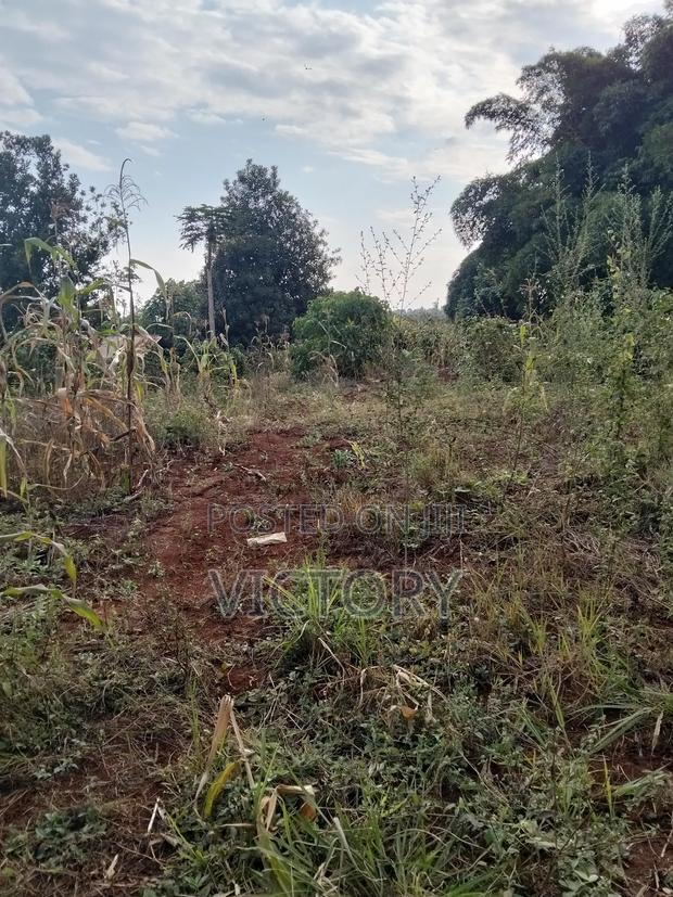 Embu Muthatari 100*100 for Sale - thumbnail 2