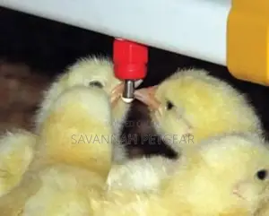 Chicken Nipple Drinker Poultry Chicken Duck Drinker Nipple