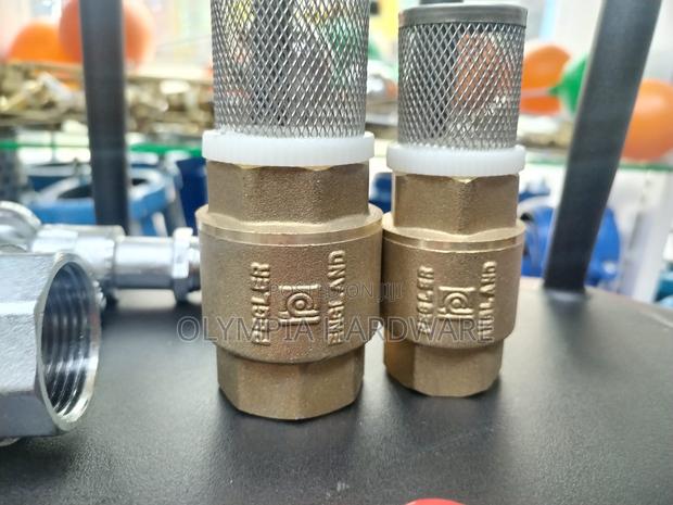Foot Valve / Spring Valve